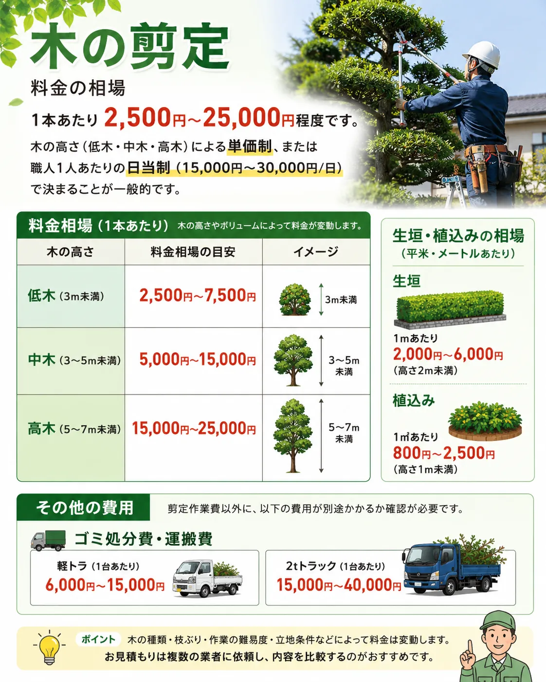 木の剪定料金の仕組みと相場解説