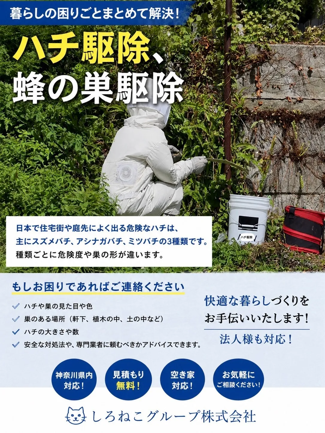 蜂駆除